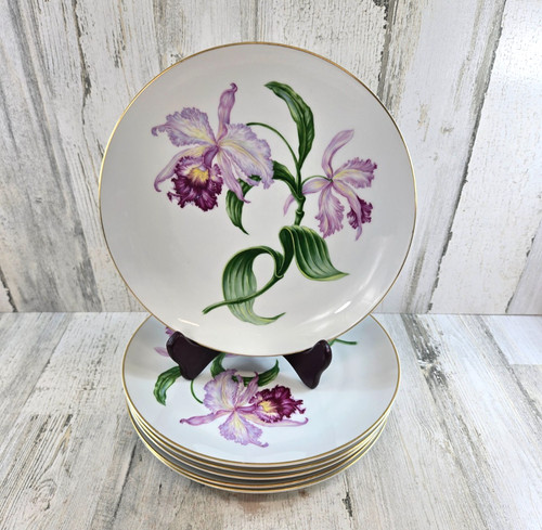 Heinrich orchid c 6 - heinrich,